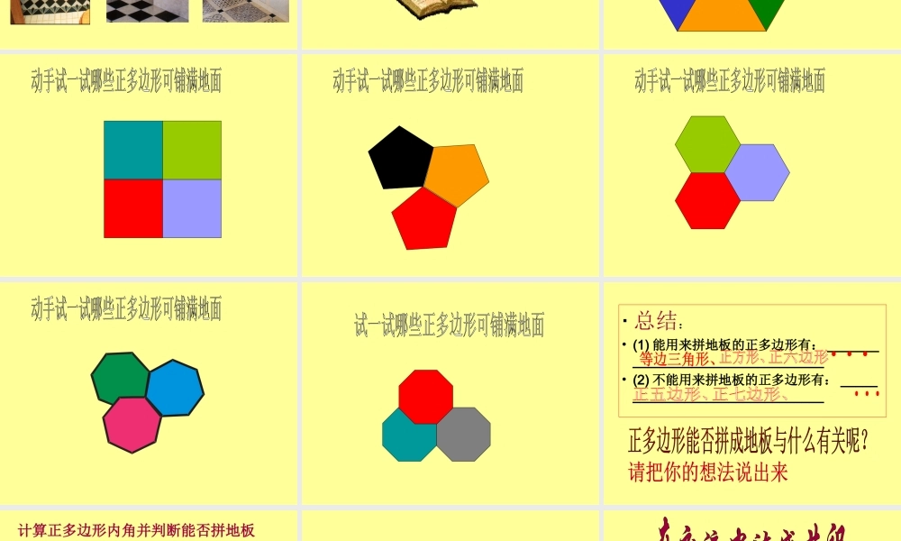 七年级数学正多边形铺地板课件 华师版 课件