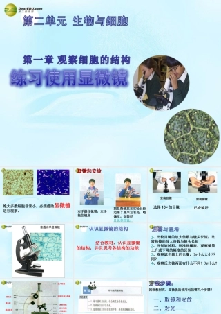 中学七年级生物上册 显微镜的使用课件 新人教版 课件