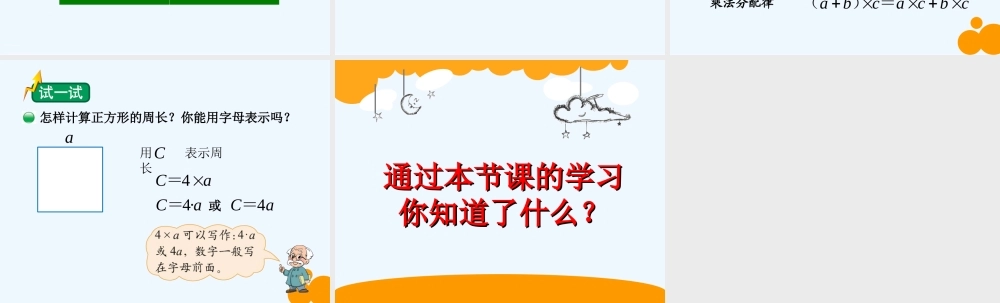 小学数学北师大2011课标版四年级认识方程-(10)