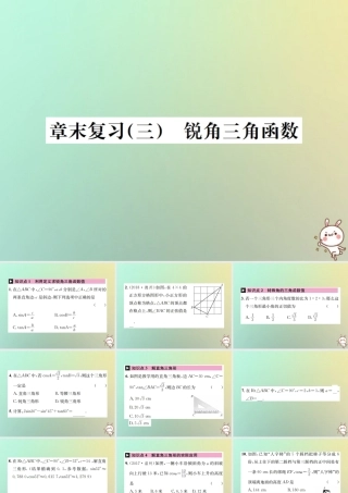 九年级数学下册 第二十八章 锐角三角函数章末复习(三)锐角三角函数习题课件 (新版)新人教版 课件