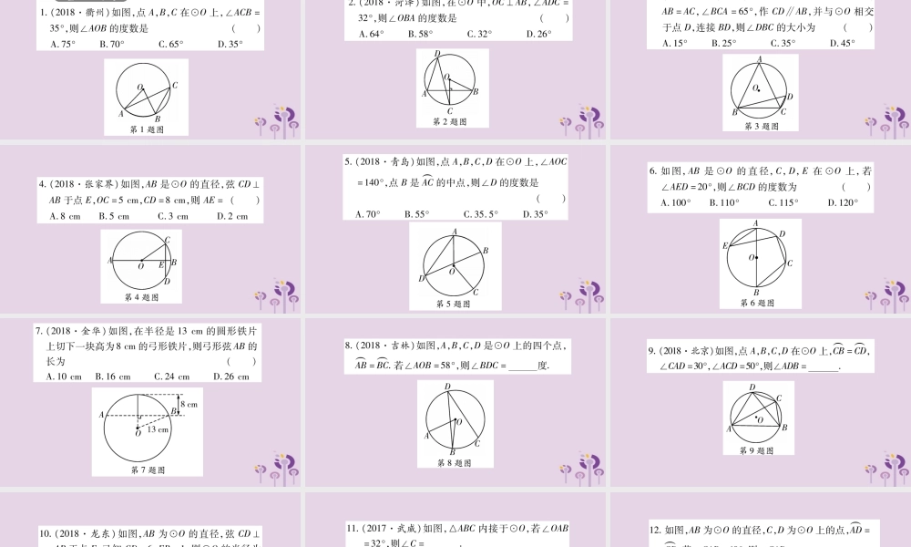 中考数学复习 第一轮 考点系统复习 第6章 圆 第1节 圆的有关性质习题课件