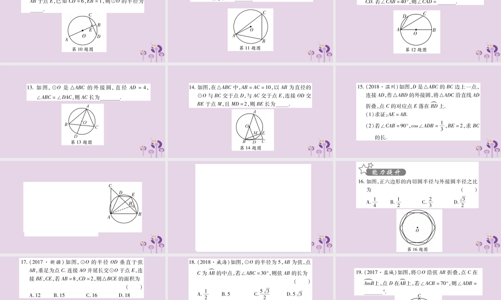 中考数学复习 第一轮 考点系统复习 第6章 圆 第1节 圆的有关性质习题课件