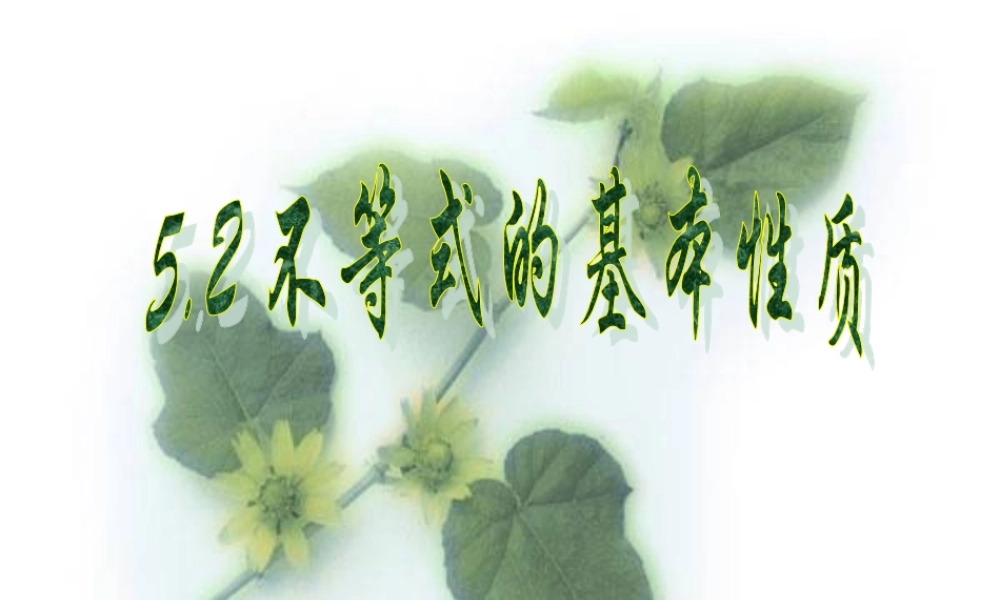 5.2不等式的基本性质2