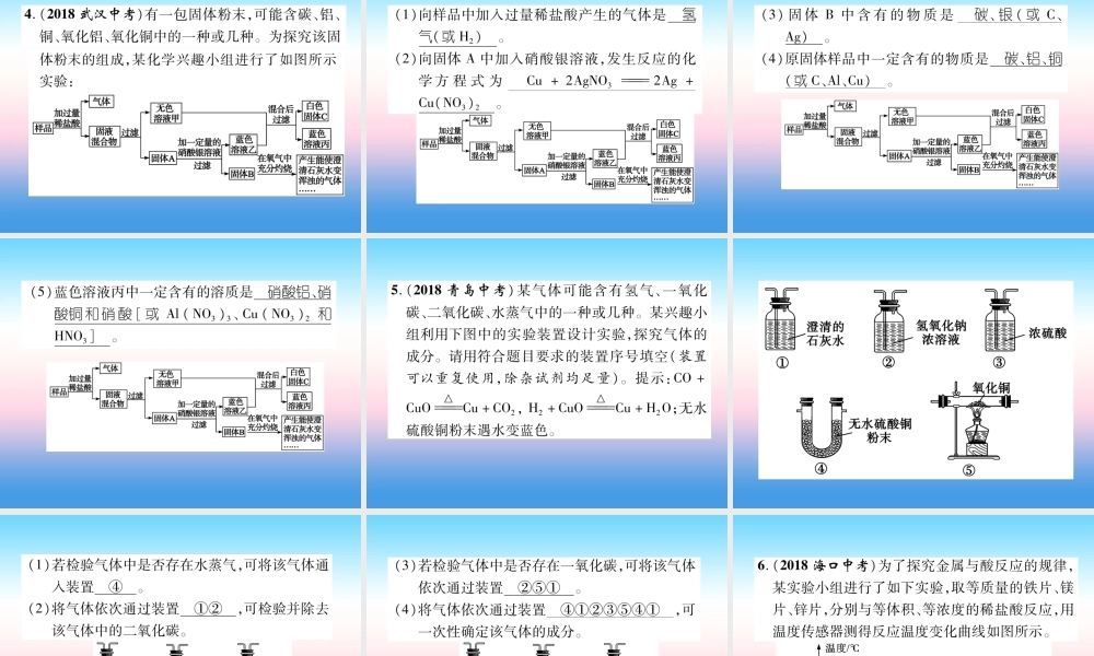 中考化学毕业总复习 第2编 重点专题突破篇 专题突破6 探究题(初高衔接型)课件
