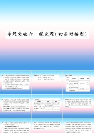 中考化学毕业总复习 第2编 重点专题突破篇 专题突破6 探究题(初高衔接型)课件