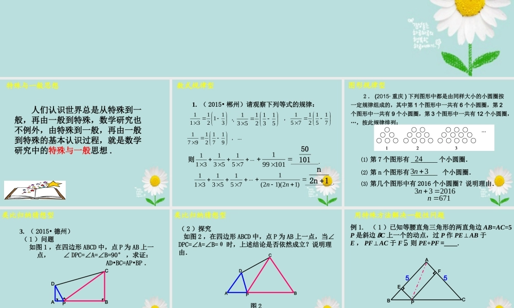 中考数学 专题复习 特殊与一般思想课件