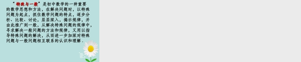 中考数学 专题复习 特殊与一般思想课件