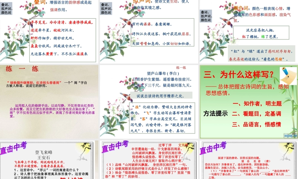 2013中考语文《古诗词鉴赏》复习课件