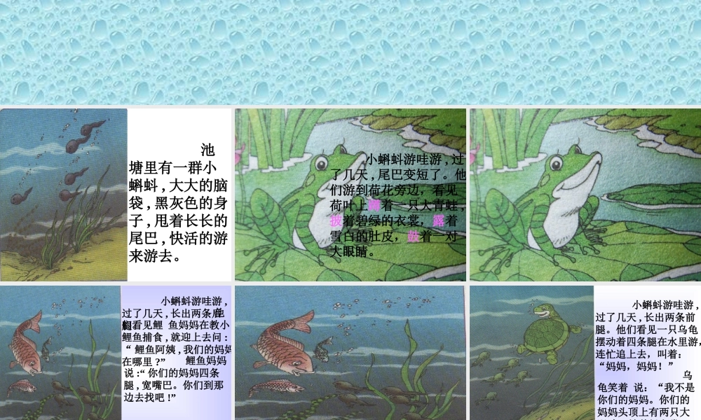 34-小蝌蚪找妈妈8
