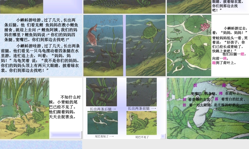 34-小蝌蚪找妈妈8