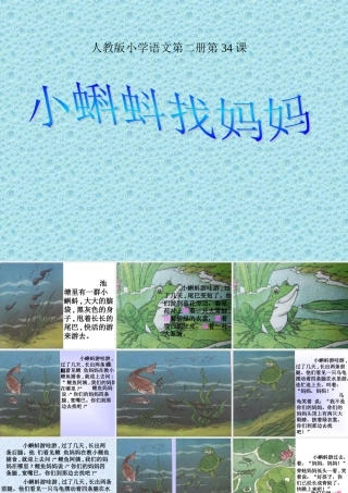 34-小蝌蚪找妈妈8