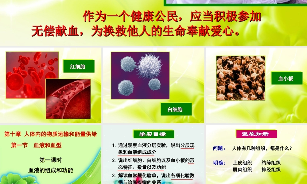 血液和血型侯慧