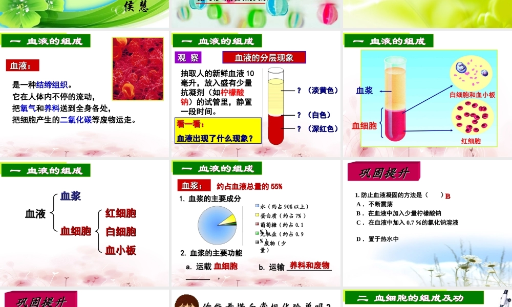 血液和血型侯慧