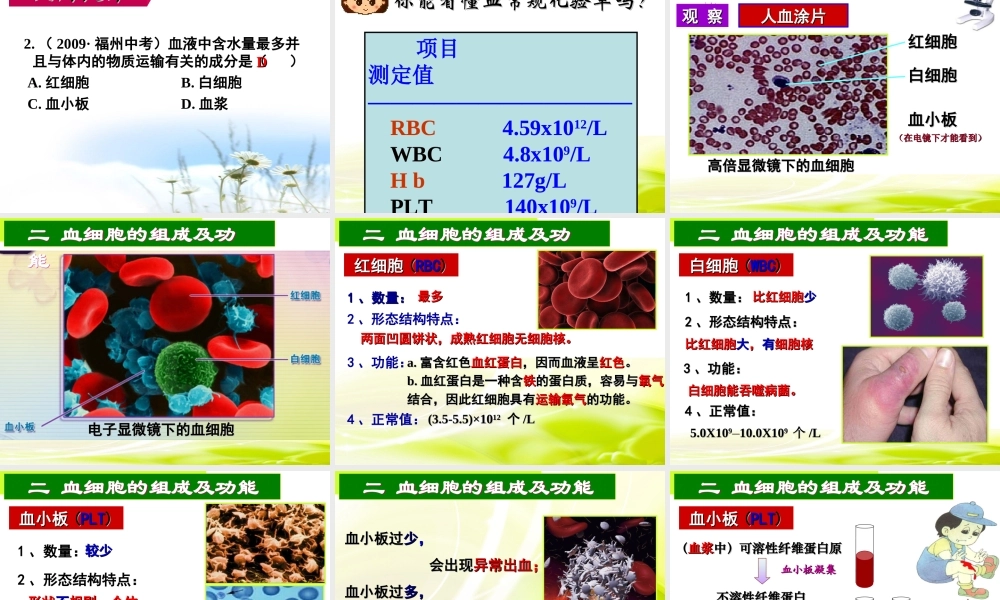 血液和血型侯慧