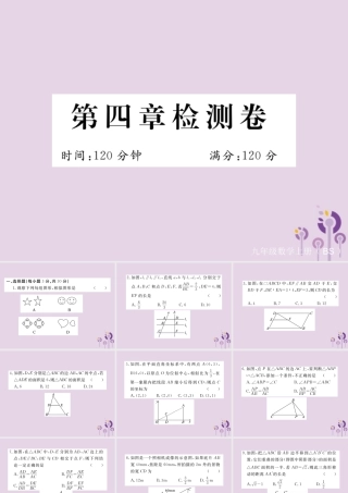 九年级数学上册 第四章 图形的相似检测卷习题课件 (新版)北师大版 课件