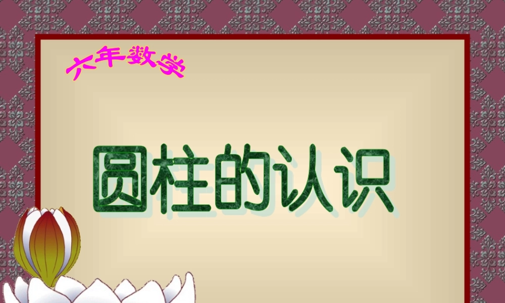 信息窗一(圆柱和圆锥的认识)-(2)