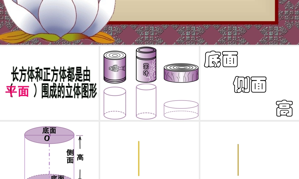 信息窗一(圆柱和圆锥的认识)-(2)