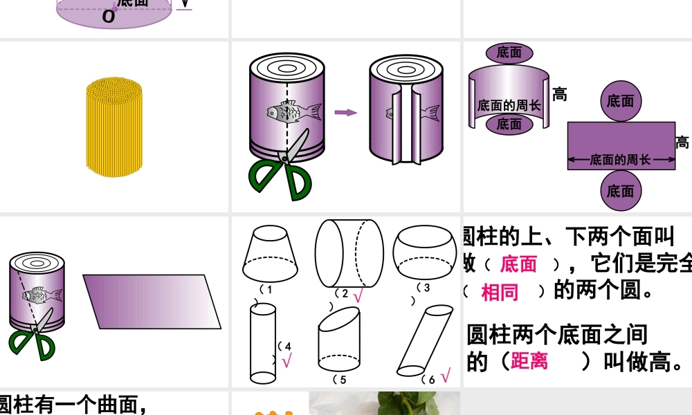 信息窗一(圆柱和圆锥的认识)-(2)