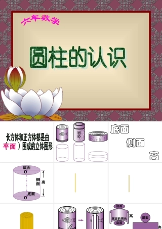 信息窗一(圆柱和圆锥的认识)-(2)