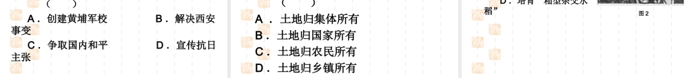 中考历史试卷分析 融新课程理念于中考历史 试题