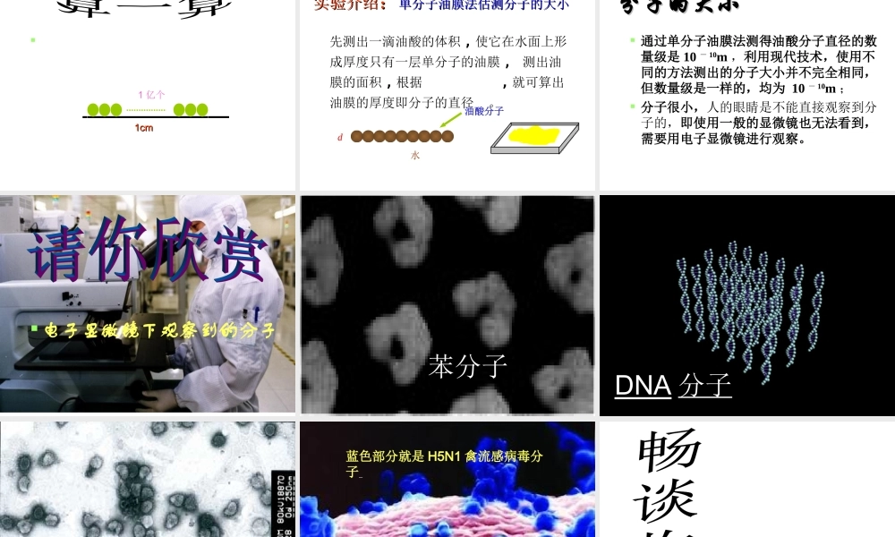 八年级物理(认识分子)课件 粤教沪版 课件