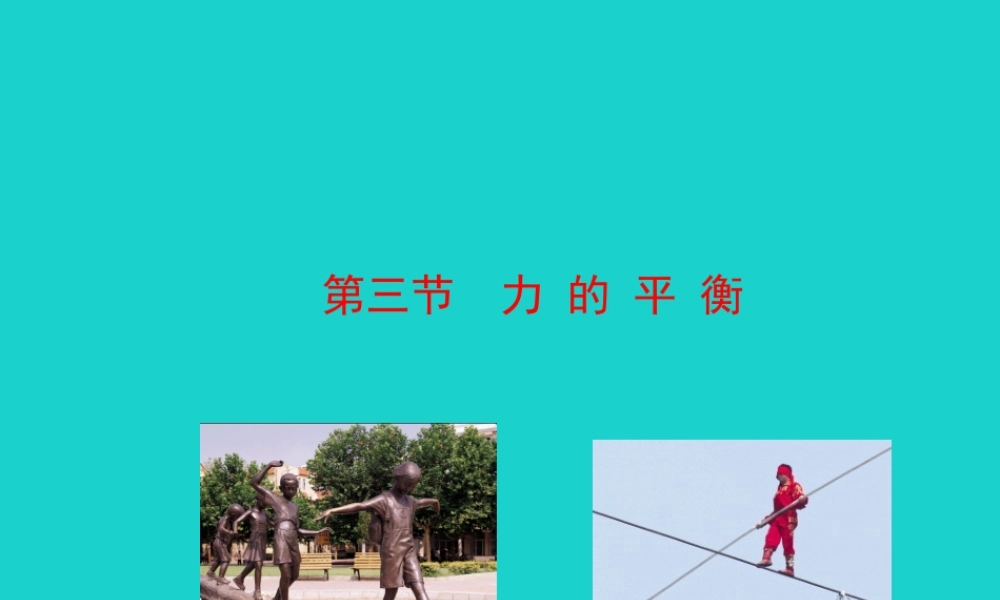 八年级物理全册 第七章 第三节 力的平衡课件 八年级物理全册 第七章 第三节 力的平衡课件+素材 (新版)沪科版 八年级物理全册 第七章 第三节 力的平衡课件+素材 (新版)沪科版-2