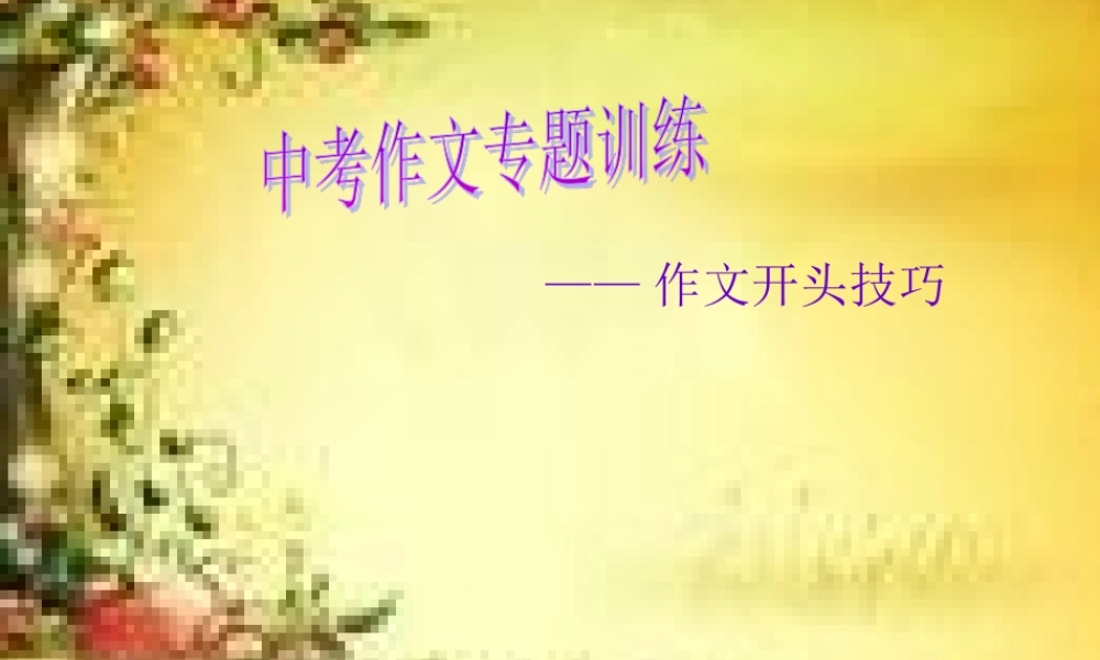 中考作文开头技巧训练专题