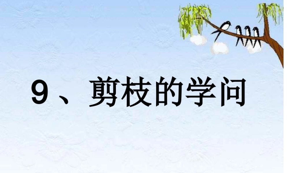 9剪枝的学问-(2)