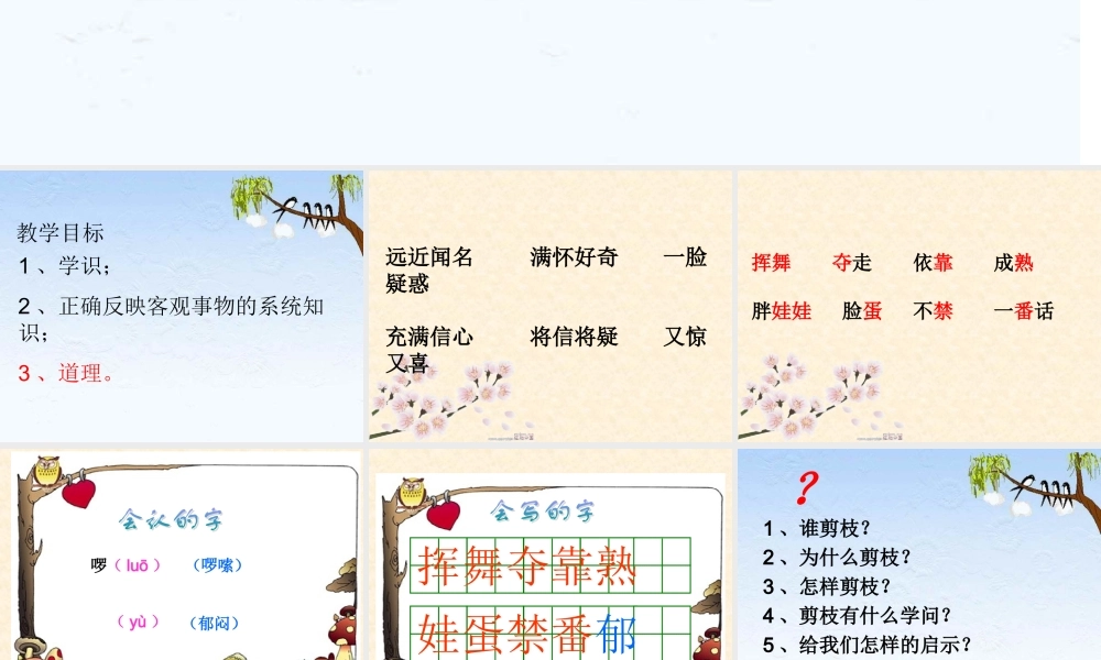 9剪枝的学问-(2)