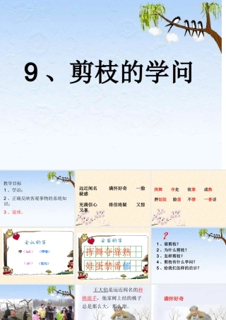 9剪枝的学问-(2)