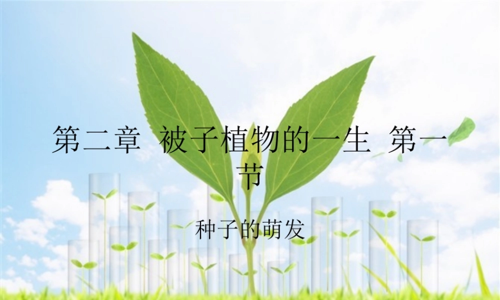 第二章-被子植物的一生-第一节