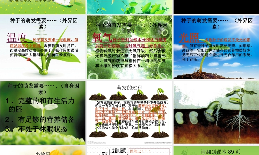 第二章-被子植物的一生-第一节