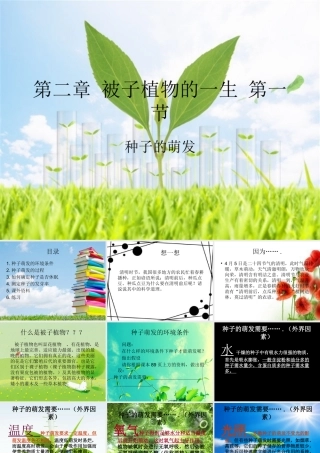 第二章-被子植物的一生-第一节