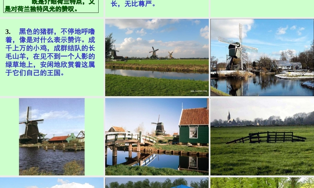 牧场之国教学课件