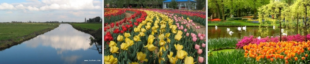 牧场之国教学课件