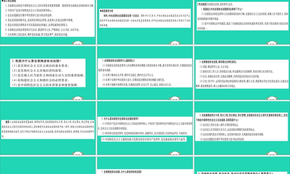 宁夏中考道德与法治考点复习 第三篇 热点透视 天下纵横 专题二 全面依法治国课件