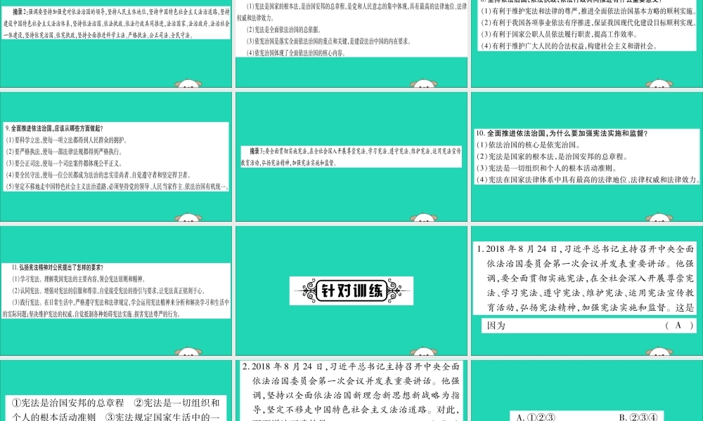 宁夏中考道德与法治考点复习 第三篇 热点透视 天下纵横 专题二 全面依法治国课件