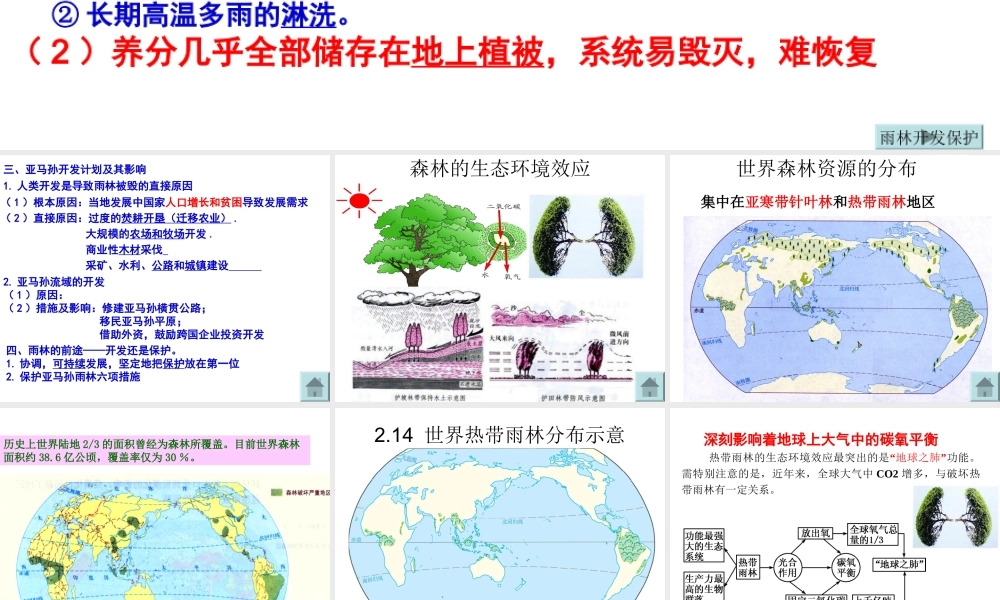 森林的开发与保护MicrosoftPowerPoint演示文稿