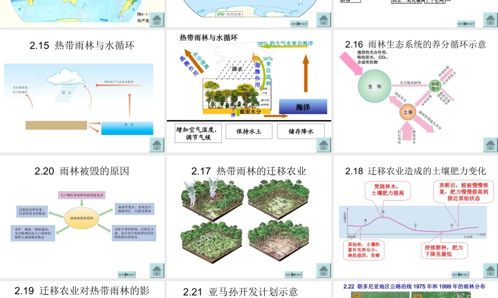 森林的开发与保护MicrosoftPowerPoint演示文稿