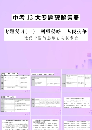 中考历史总复习 专题复习(一)列强侵略 人民抗争课件 新人教版 课件