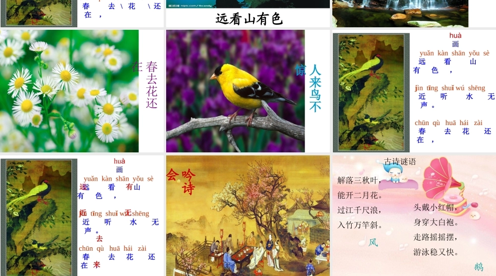 《画》课件付晶