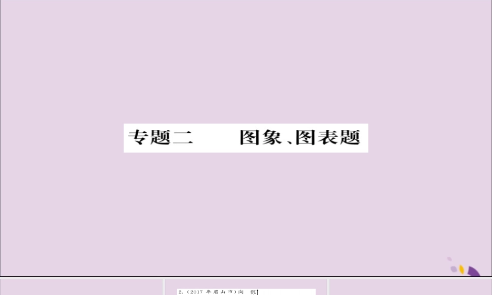 中考化学总复习 第二轮 专题训练 提升能力 专题二 图像图表题练习课件