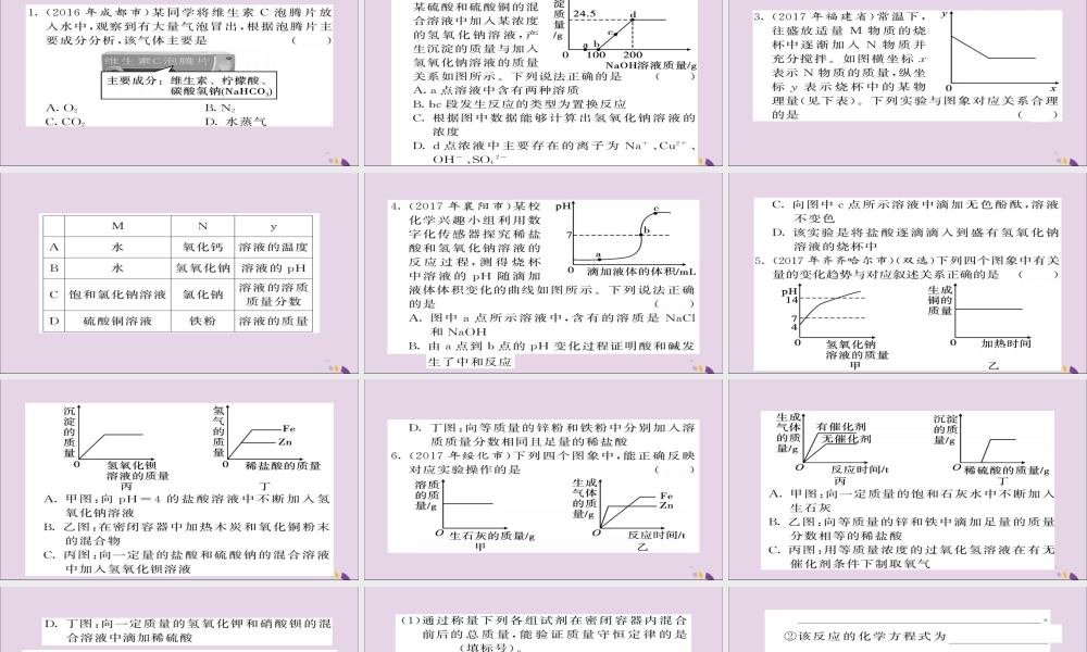 中考化学总复习 第二轮 专题训练 提升能力 专题二 图像图表题练习课件