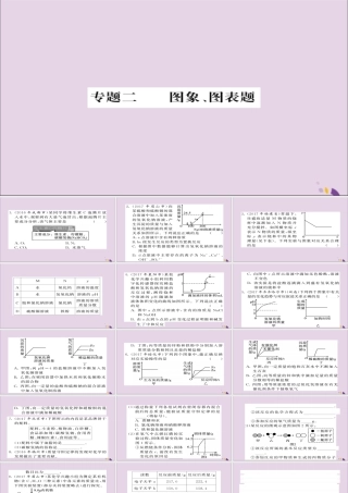 中考化学总复习 第二轮 专题训练 提升能力 专题二 图像图表题练习课件