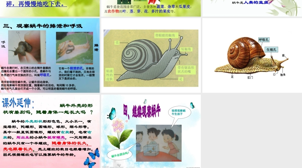 2.3蜗牛(二)