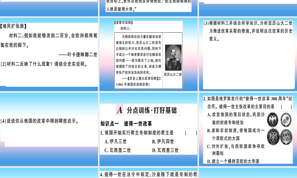 九年级历史下册 第一单元 殖民地人民的反抗与资本主义制度的扩展 第2课 俄国的改革习题课件 新人教版 课件
