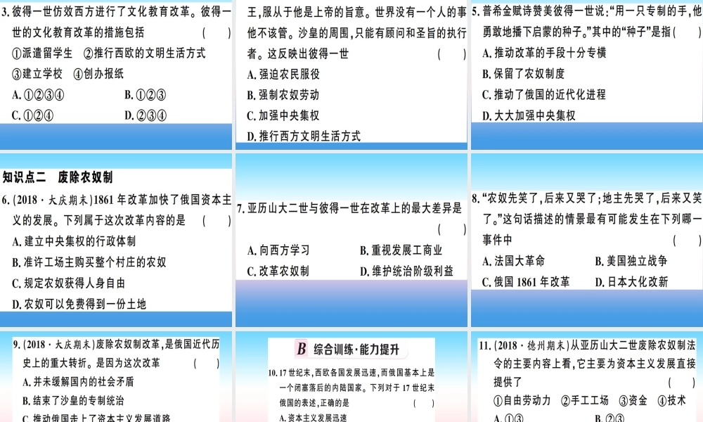 九年级历史下册 第一单元 殖民地人民的反抗与资本主义制度的扩展 第2课 俄国的改革习题课件 新人教版 课件