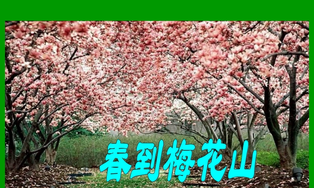 《春到梅花山》