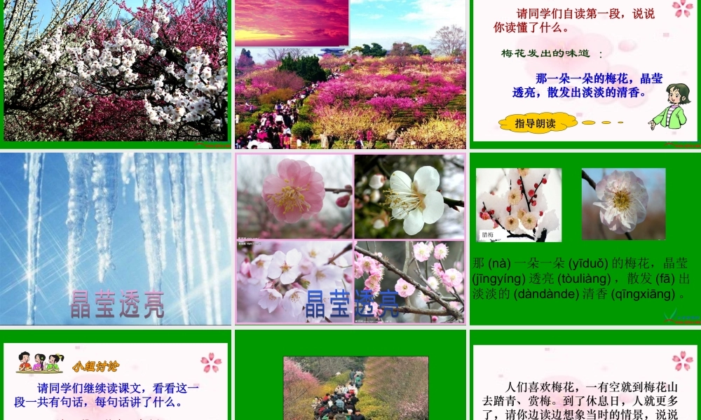 《春到梅花山》