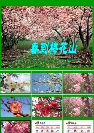 《春到梅花山》